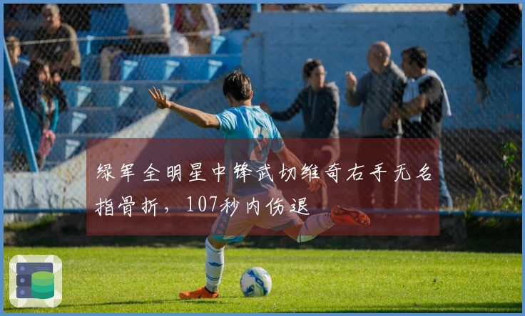 绿军全明星中锋武切维奇右手无名指骨折，107秒内伤退