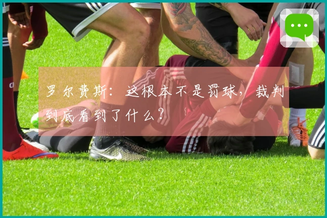 罗尔费斯：这根本不是罚球，裁判到底看到了什么？